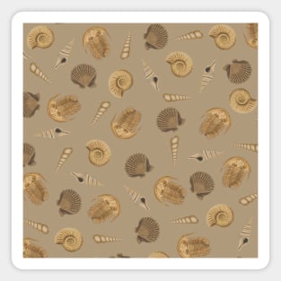 Cute Fossil Pattern Magnet